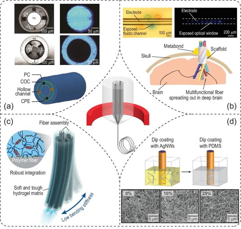 https://cdn.ncbi.nlm.nih.gov/pmc/blobs/275d/9522429/71c17e9cf128/nwac007fig3.jpg