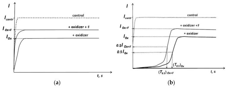 https://cdn.ncbi.nlm.nih.gov/pmc/blobs/275e/9106034/d57bef5a1df7/ijms-23-05152-g006.jpg