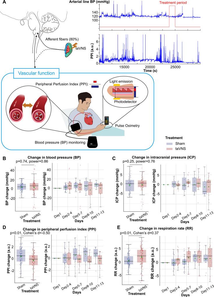 https://cdn.ncbi.nlm.nih.gov/pmc/blobs/275f/11717364/1e810e90ae34/elife-100088-fig4.jpg