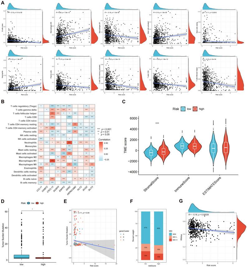 https://cdn.ncbi.nlm.nih.gov/pmc/blobs/2760/10861827/67da4114f234/jcav15p1234g008.jpg