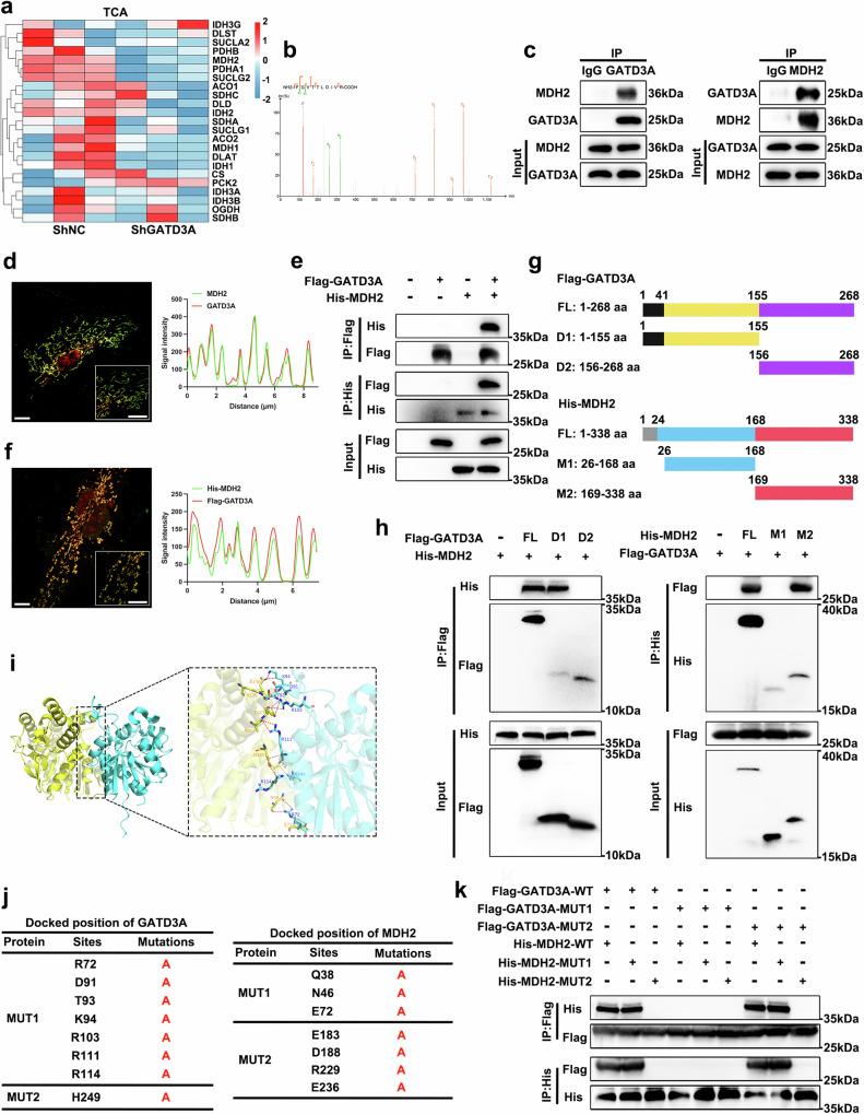 https://cdn.ncbi.nlm.nih.gov/pmc/blobs/2760/11685659/03e81b1ede31/41467_2024_55335_Fig6_HTML.jpg