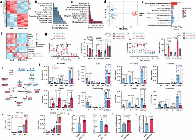 https://cdn.ncbi.nlm.nih.gov/pmc/blobs/2760/11685659/2cfe88d2a5f5/41467_2024_55335_Fig5_HTML.jpg