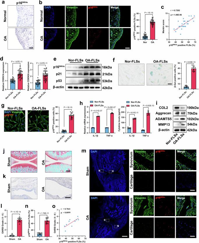 https://cdn.ncbi.nlm.nih.gov/pmc/blobs/2760/11685659/3a5f8e8a234d/41467_2024_55335_Fig1_HTML.jpg