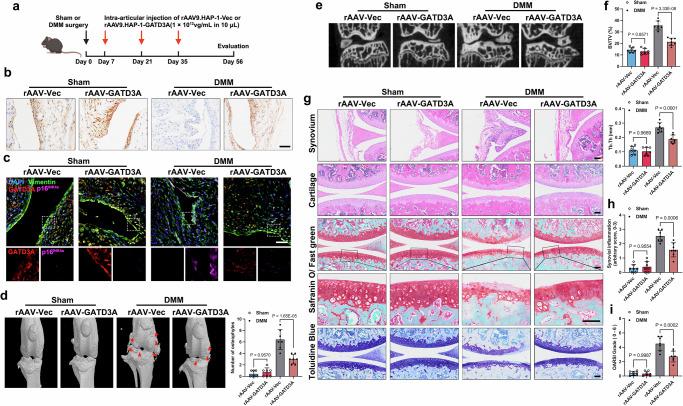 https://cdn.ncbi.nlm.nih.gov/pmc/blobs/2760/11685659/44ffdd1e662c/41467_2024_55335_Fig4_HTML.jpg