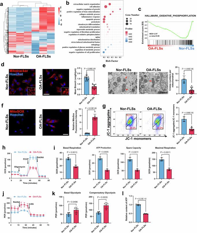 https://cdn.ncbi.nlm.nih.gov/pmc/blobs/2760/11685659/7b061a4be745/41467_2024_55335_Fig2_HTML.jpg