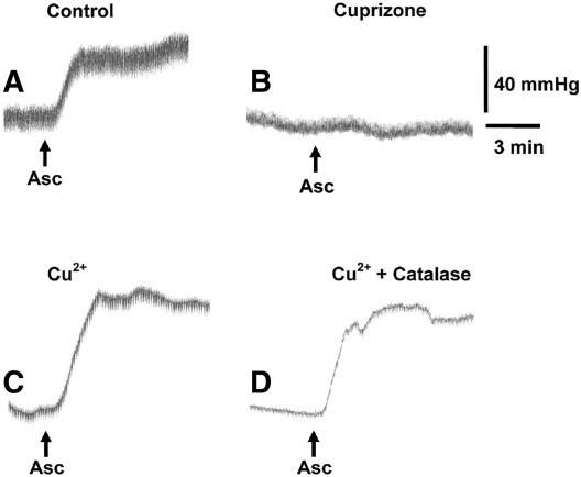 https://cdn.ncbi.nlm.nih.gov/pmc/blobs/2762/2700718/0b69cecb6788/gr1.jpg