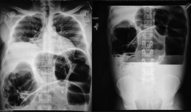 https://cdn.ncbi.nlm.nih.gov/pmc/blobs/2762/6232284/4fb0b0024053/rjy295f01.jpg