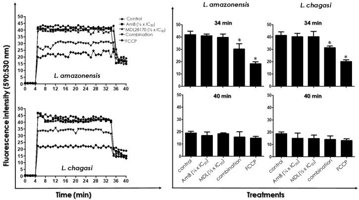 https://cdn.ncbi.nlm.nih.gov/pmc/blobs/2764/8878347/24c7cd69763c/tropicalmed-07-00029-g004.jpg
