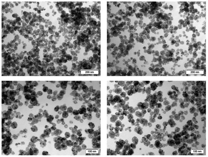 https://cdn.ncbi.nlm.nih.gov/pmc/blobs/2765/10343489/5bc039a3f2d7/nanomaterials-13-01928-g006.jpg