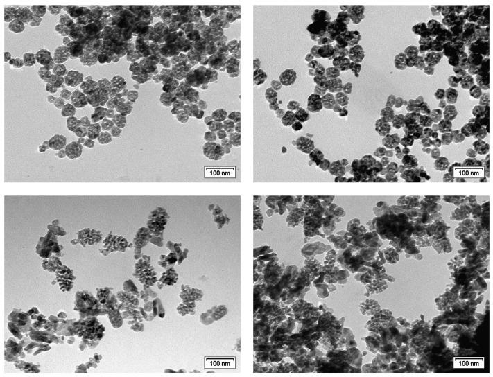 https://cdn.ncbi.nlm.nih.gov/pmc/blobs/2765/10343489/6400ce0bee48/nanomaterials-13-01928-g002.jpg