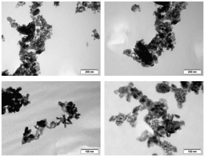 https://cdn.ncbi.nlm.nih.gov/pmc/blobs/2765/10343489/8ced414459d4/nanomaterials-13-01928-g007.jpg