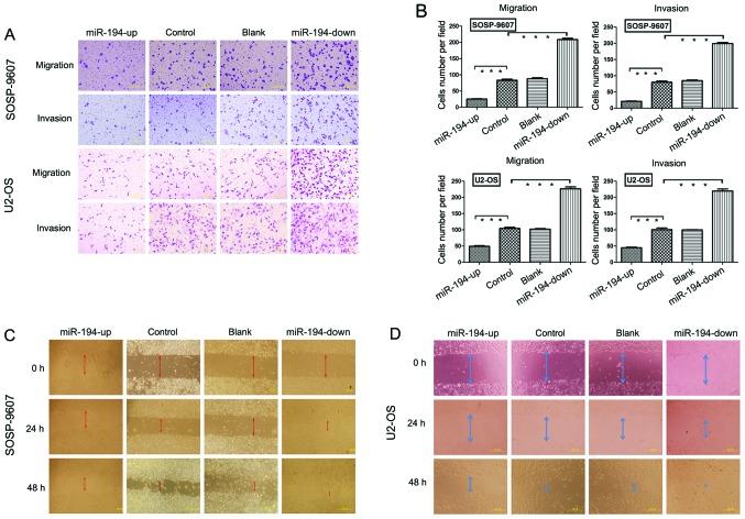 https://cdn.ncbi.nlm.nih.gov/pmc/blobs/2765/4151797/e222d3ef51d3/IJO-45-04-1437-g04.jpg