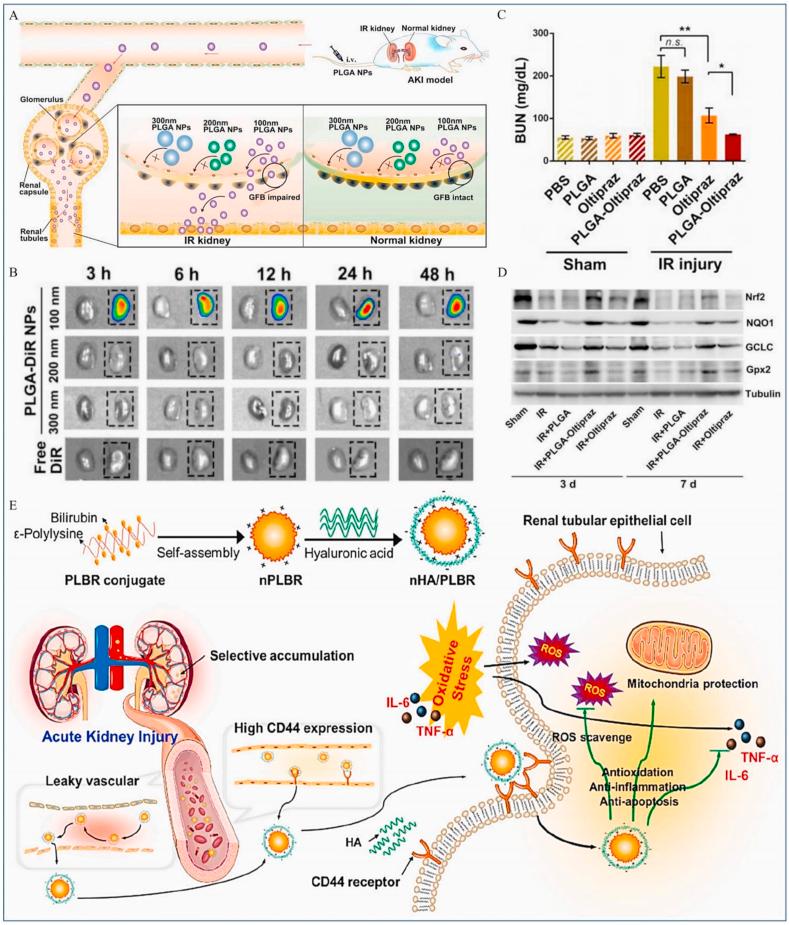 https://cdn.ncbi.nlm.nih.gov/pmc/blobs/2767/9526023/23321b373198/gr17.jpg