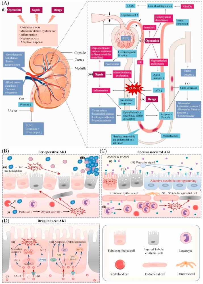 https://cdn.ncbi.nlm.nih.gov/pmc/blobs/2767/9526023/474e891ffff6/gr4.jpg