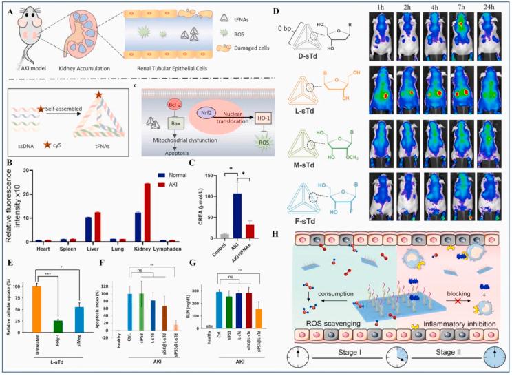 https://cdn.ncbi.nlm.nih.gov/pmc/blobs/2767/9526023/75d66e602406/gr10.jpg