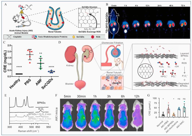 https://cdn.ncbi.nlm.nih.gov/pmc/blobs/2767/9526023/c6a8fa87ad8a/gr12.jpg