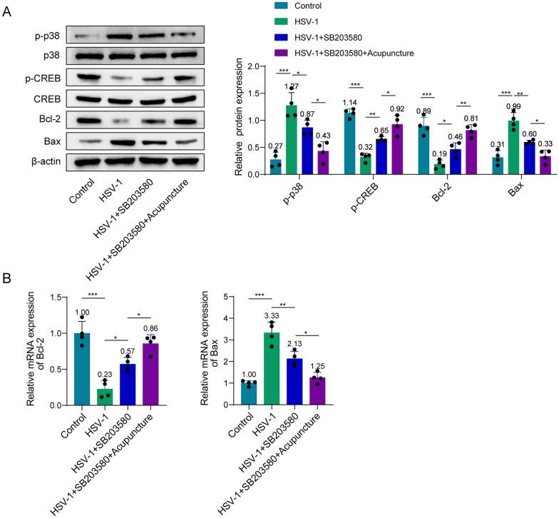 https://cdn.ncbi.nlm.nih.gov/pmc/blobs/276a/11448188/1f651379777d/12576_2024_941_Fig4_HTML.jpg