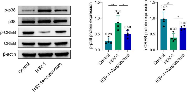 https://cdn.ncbi.nlm.nih.gov/pmc/blobs/276a/11448188/55ae196acfc5/12576_2024_941_Fig3_HTML.jpg