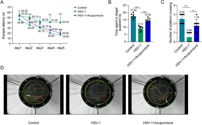 https://cdn.ncbi.nlm.nih.gov/pmc/blobs/276a/11448188/7b95d98c1ed4/12576_2024_941_Fig1_HTML.jpg