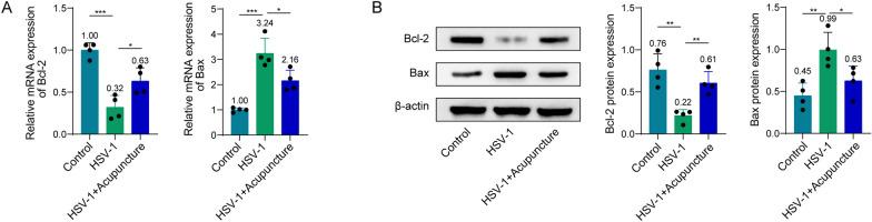 https://cdn.ncbi.nlm.nih.gov/pmc/blobs/276a/11448188/fe637b0c6e1f/12576_2024_941_Fig2_HTML.jpg