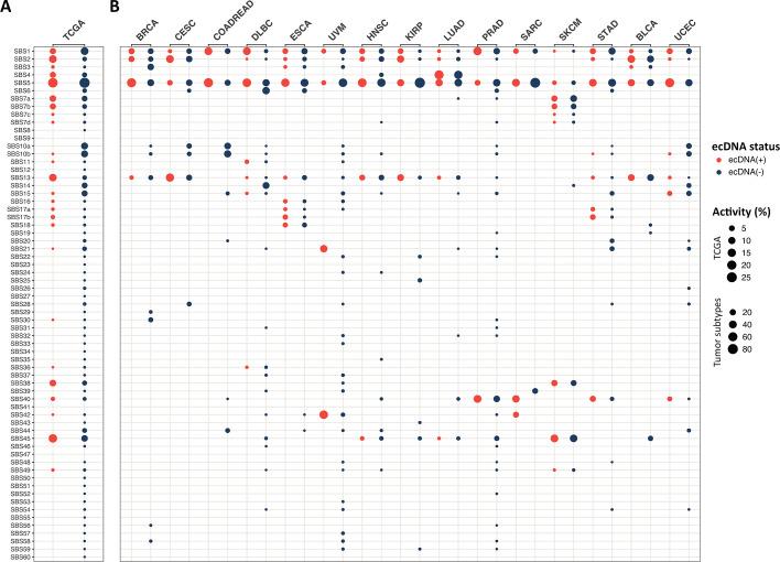 https://cdn.ncbi.nlm.nih.gov/pmc/blobs/276b/11186631/742670815bb6/elife-88895-fig5-figsupp5.jpg