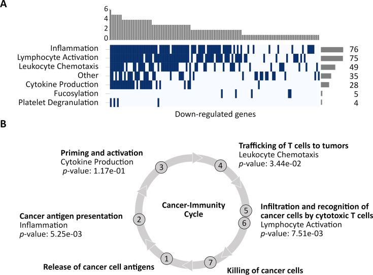 https://cdn.ncbi.nlm.nih.gov/pmc/blobs/276b/11186631/7a97d9f0f725/elife-88895-fig4.jpg