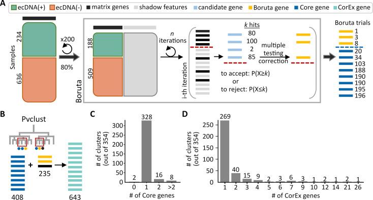 https://cdn.ncbi.nlm.nih.gov/pmc/blobs/276b/11186631/96b5f0620c54/elife-88895-fig1.jpg