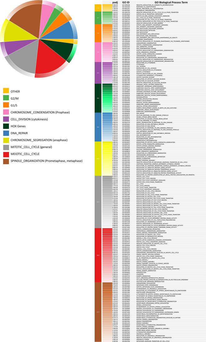 https://cdn.ncbi.nlm.nih.gov/pmc/blobs/276b/11186631/9b4bb6e57574/elife-88895-fig3-figsupp1.jpg