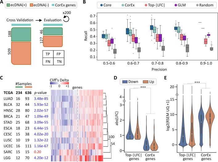 https://cdn.ncbi.nlm.nih.gov/pmc/blobs/276b/11186631/d08083f9114a/elife-88895-fig2.jpg