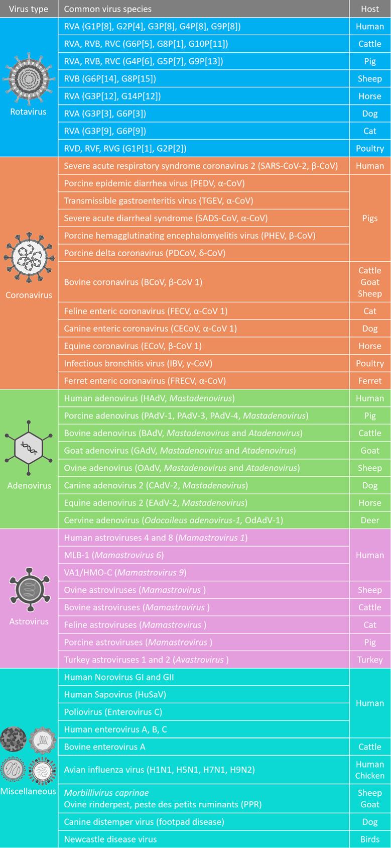 https://cdn.ncbi.nlm.nih.gov/pmc/blobs/276b/11841282/cc2403639cdb/13099_2025_684_Fig1_HTML.jpg