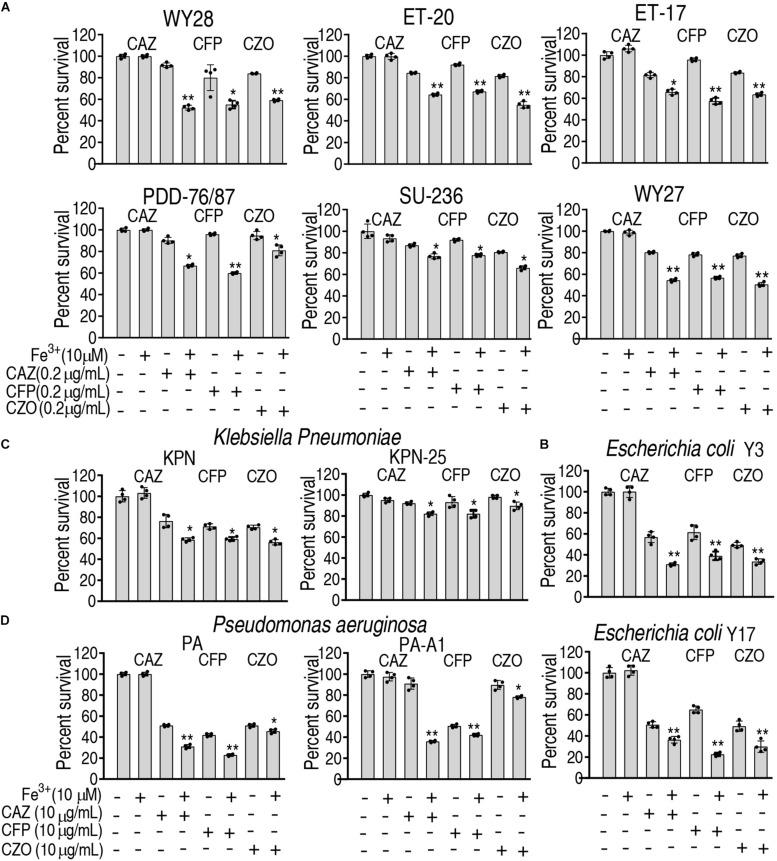 https://cdn.ncbi.nlm.nih.gov/pmc/blobs/276d/8113649/43636a50e9e9/fmicb-12-654783-g007.jpg