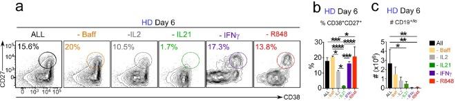 https://cdn.ncbi.nlm.nih.gov/pmc/blobs/2772/6544433/70b9d0711cd4/elife-41641-fig4-figsupp1.jpg