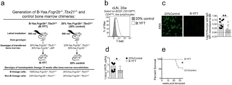https://cdn.ncbi.nlm.nih.gov/pmc/blobs/2772/6544433/7c5388acb077/elife-41641-fig1-figsupp1.jpg