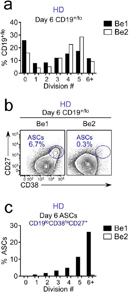 https://cdn.ncbi.nlm.nih.gov/pmc/blobs/2772/6544433/b7e9df601249/elife-41641-fig2-figsupp3.jpg