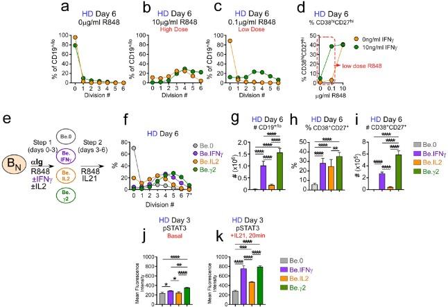 https://cdn.ncbi.nlm.nih.gov/pmc/blobs/2772/6544433/ce68a03ca83e/elife-41641-fig6.jpg