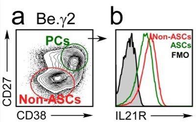 https://cdn.ncbi.nlm.nih.gov/pmc/blobs/2772/6544433/f9945a58235f/elife-41641-resp-fig3.jpg