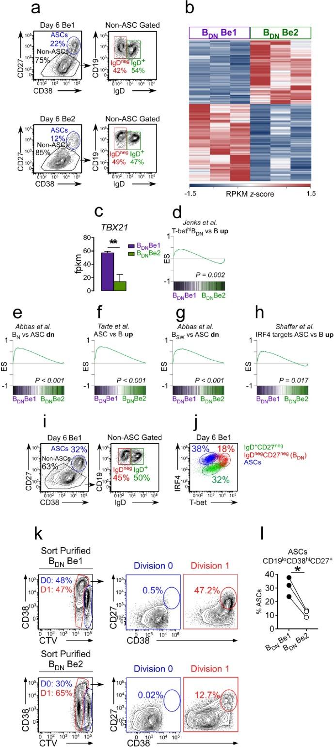 https://cdn.ncbi.nlm.nih.gov/pmc/blobs/2772/6544433/fcbb7a93c80e/elife-41641-fig3.jpg