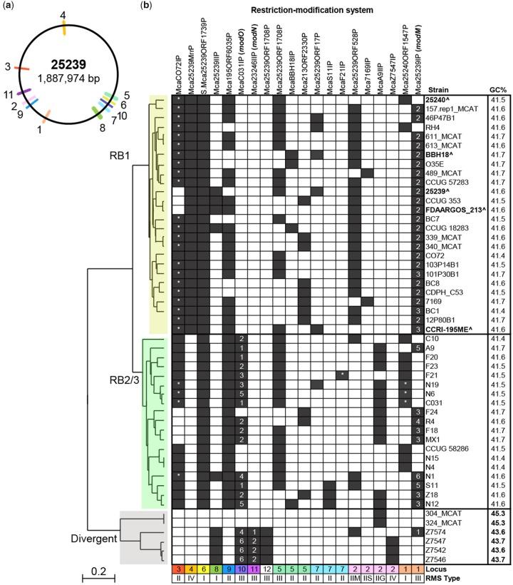 https://cdn.ncbi.nlm.nih.gov/pmc/blobs/2774/6241649/3965b6026771/evy226f1.jpg