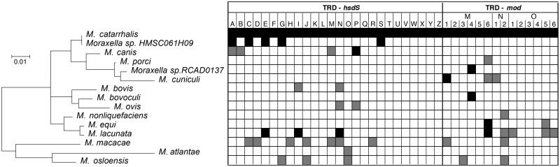 https://cdn.ncbi.nlm.nih.gov/pmc/blobs/2774/6241649/bab3fd59b9f8/evy226f5.jpg