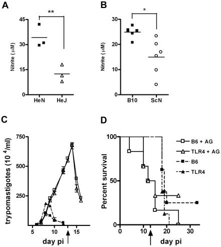 https://cdn.ncbi.nlm.nih.gov/pmc/blobs/2775/2861687/a264eb85308f/ppat.1000870.g005.jpg