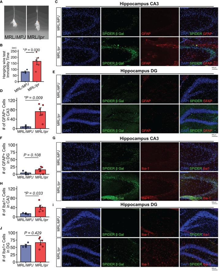 https://cdn.ncbi.nlm.nih.gov/pmc/blobs/2775/8597709/052b47395677/fimmu-12-692321-g001.jpg