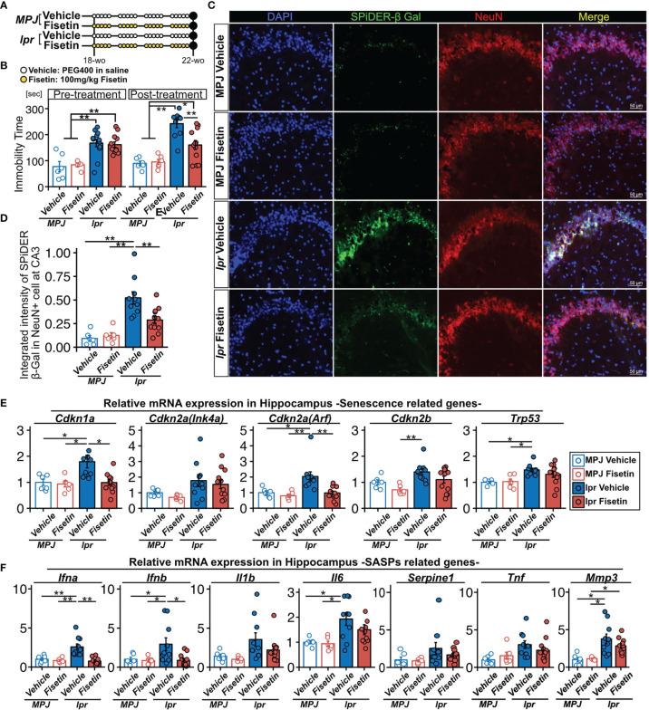 https://cdn.ncbi.nlm.nih.gov/pmc/blobs/2775/8597709/1a3df2aaca37/fimmu-12-692321-g005.jpg
