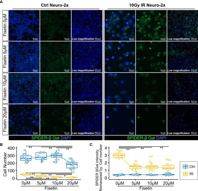 https://cdn.ncbi.nlm.nih.gov/pmc/blobs/2775/8597709/cf1ba2b35872/fimmu-12-692321-g004.jpg