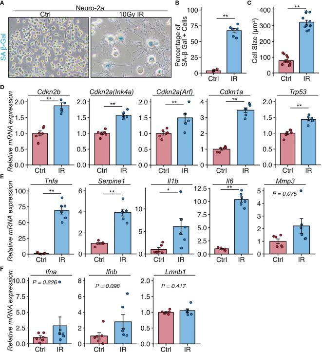 https://cdn.ncbi.nlm.nih.gov/pmc/blobs/2775/8597709/fa8c6e25568a/fimmu-12-692321-g003.jpg