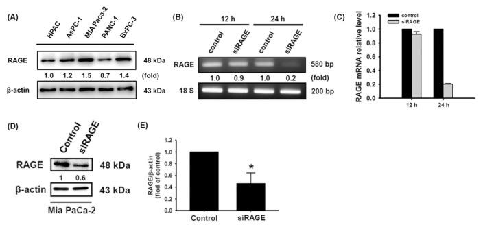 https://cdn.ncbi.nlm.nih.gov/pmc/blobs/2775/9306979/6511f63bc21f/jfda-27-04-887f1.jpg