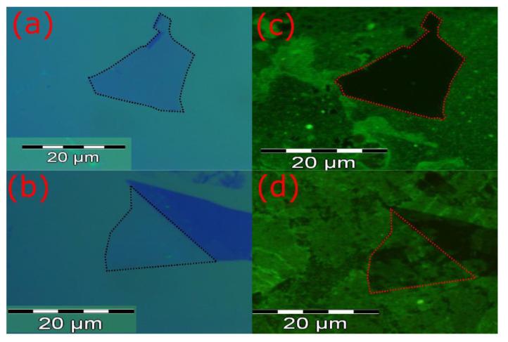 https://cdn.ncbi.nlm.nih.gov/pmc/blobs/2776/7765543/f00f6e9bc17d/biosensors-10-00206-g004.jpg
