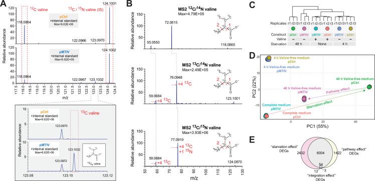 https://cdn.ncbi.nlm.nih.gov/pmc/blobs/2776/9560156/0807b3e7c555/elife-72847-fig3.jpg