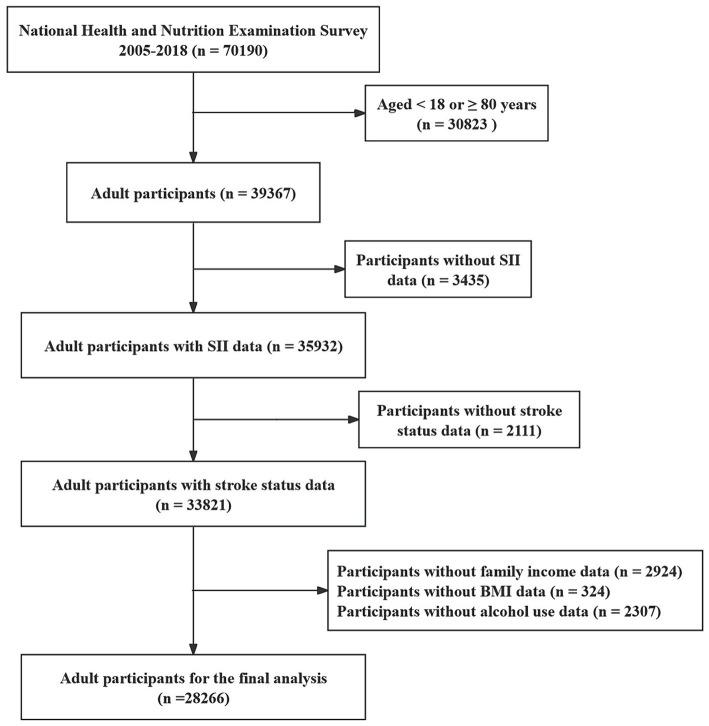 https://cdn.ncbi.nlm.nih.gov/pmc/blobs/2778/11424513/e37fd14adcdd/fneur-15-1431727-g001.jpg
