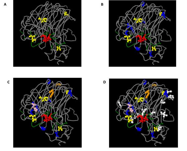 https://cdn.ncbi.nlm.nih.gov/pmc/blobs/277c/2794274/be002e92f2dc/1743-422X-6-215-2.jpg