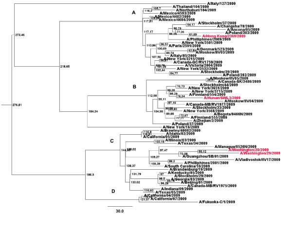 https://cdn.ncbi.nlm.nih.gov/pmc/blobs/277c/2794274/d682de12e47f/1743-422X-6-215-1.jpg